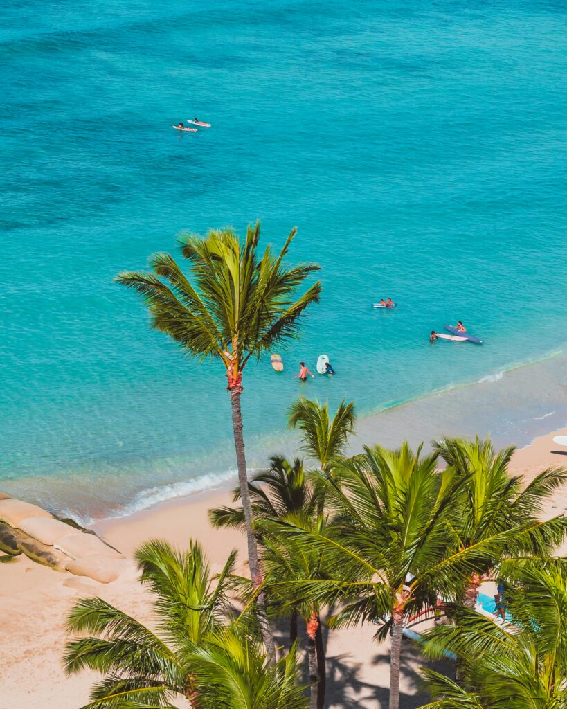 Vibrant aerial shot of a tropical beach with surfers riding clear blue waters among palm trees.